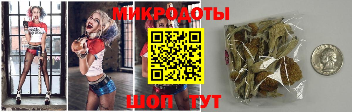 Псилоцибиновые грибы GOLDEN TEACHER Александров